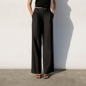 NWT ZARA PANTS